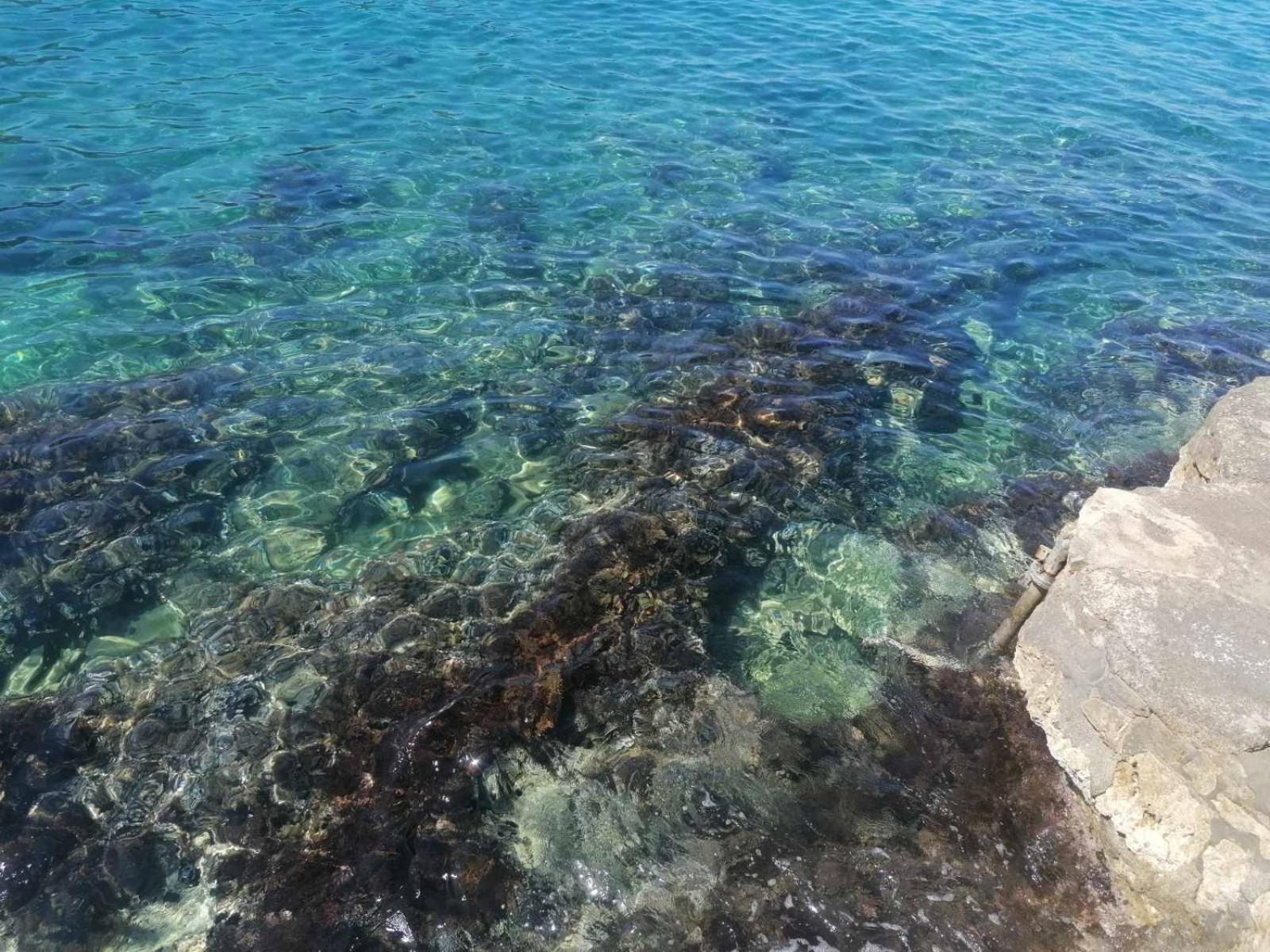 Apartmani Lux Sea Utjeha Esterno foto